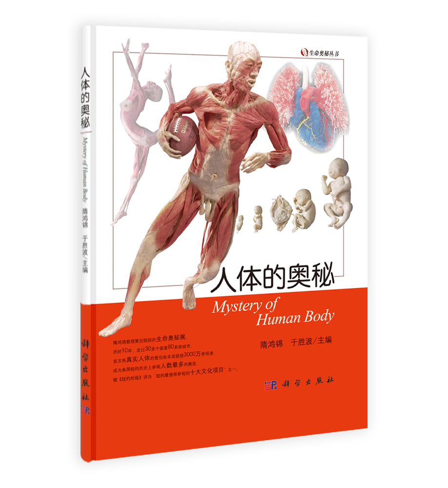 奥秘之处的意思 (奥秘而弱小的闲鱼助手终究适宜哪一类人群呢)