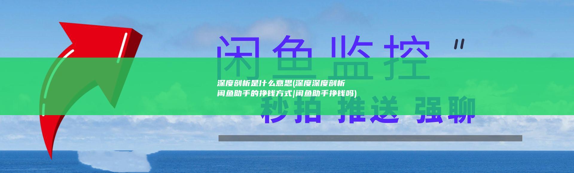 深度剖析是什么意思 (深度深度剖析闲鱼助手的挣钱方式|闲鱼助手挣钱吗)
